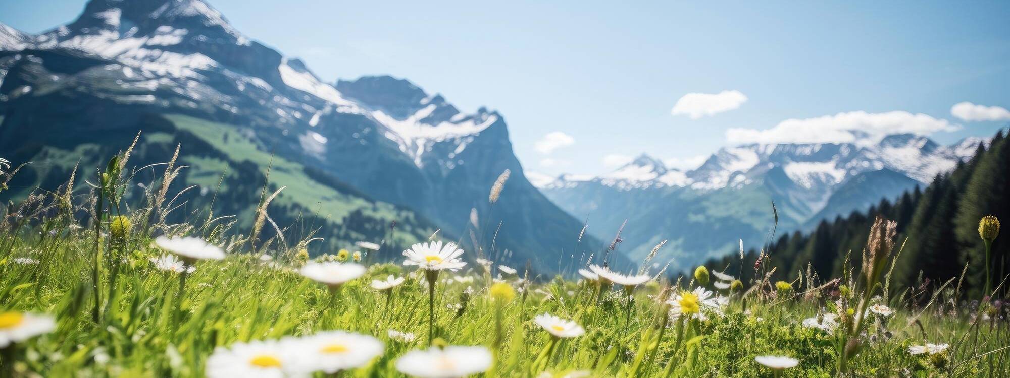 FeWo Sommerurlaub - Karwendel